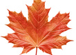 feuille