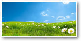 paysage