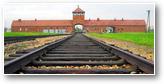 auschwitz