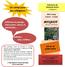 image camp collegiens