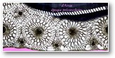 dentelle
