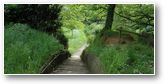 chemin