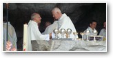 Lourdes pélé 2010 Mgr Jaeger et Mgr Carré