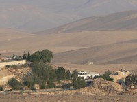 Oasis sur le chemin