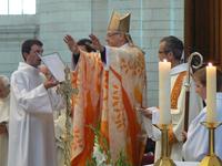 Ordinations 2012