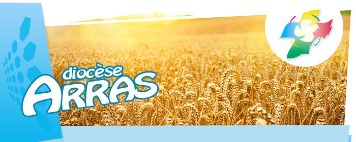 Newsletter Diocèse d'Arras - ArrasInfos 97 - 30 août 2013