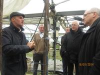 Visite Ferme Patinier "Fauquissarette".
Dans les serres.