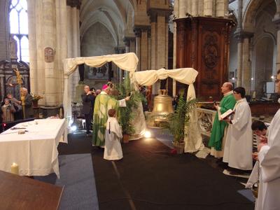 2017-2-26- Benediction cloches cathedrale Saint-Om