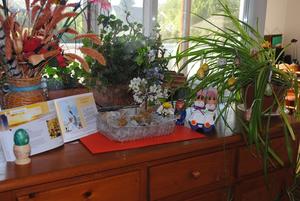 jardin1
