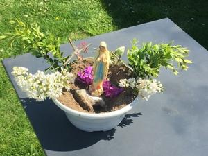 jardin2