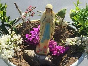 jardin3