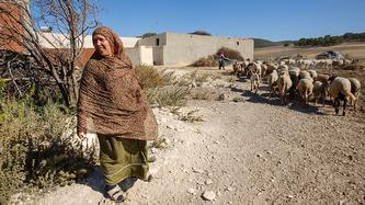 Tunisie /ph. BrÃ©sillon