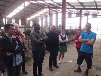 P14-15  Visite ferme autruches