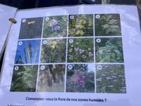 photo_22