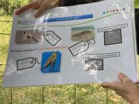 photo_11