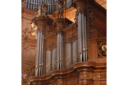 ORGUE