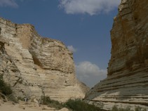 Ce n'est pas immensité de sable, mais rocaille, lieu de vie, dépouillé, mais fertile.