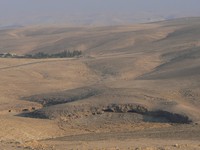 Une oasis se laisse voir au lointain