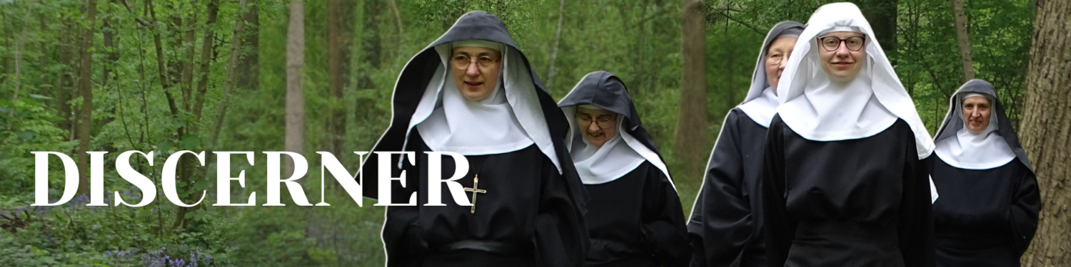 Discerner