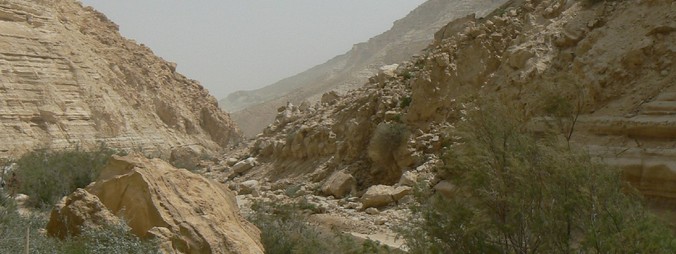 Sur le chemin de Jéricho à Jérusalem